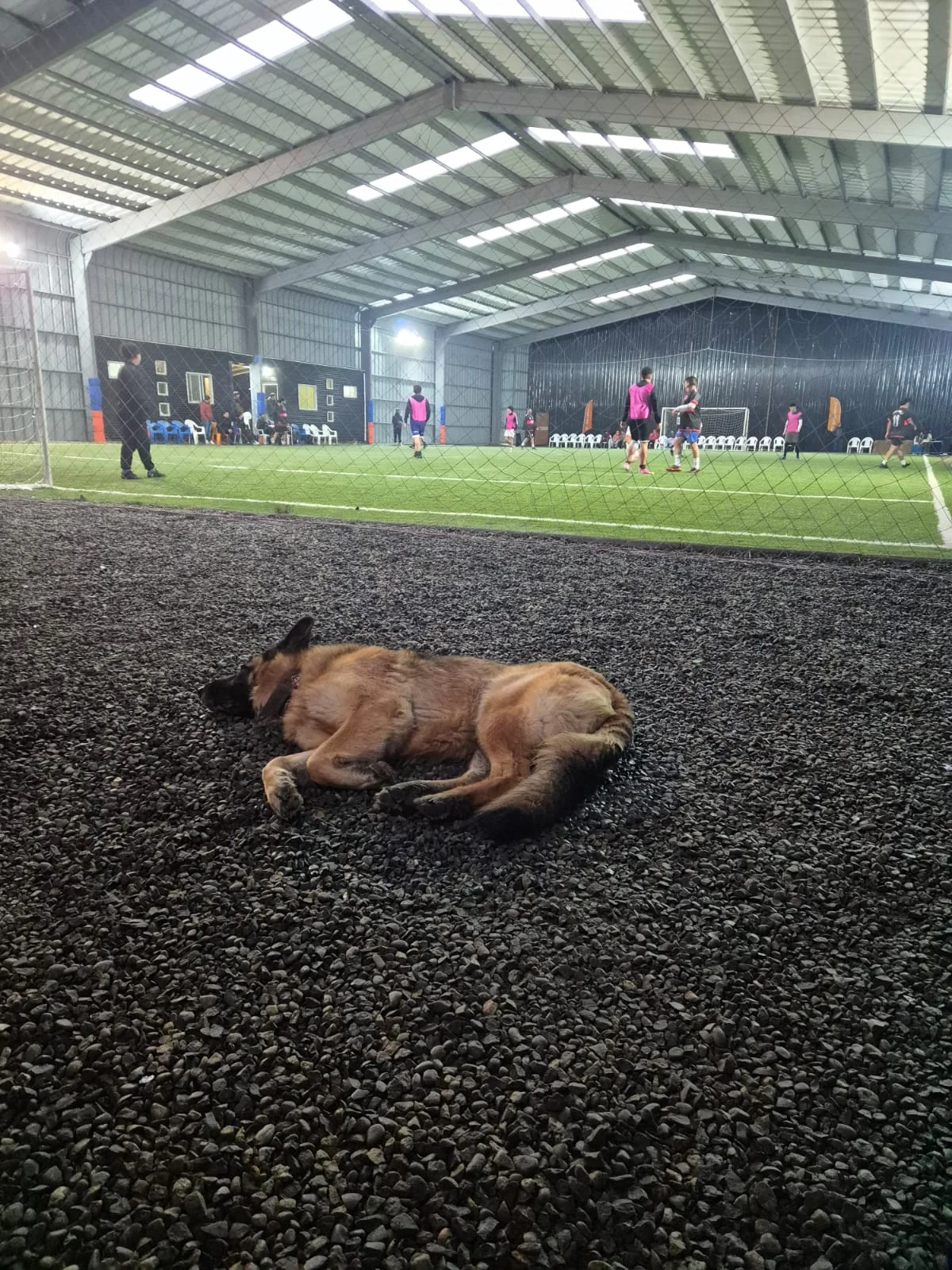 Ambiente de competencia junto a la cancha de Club Bahía Sports